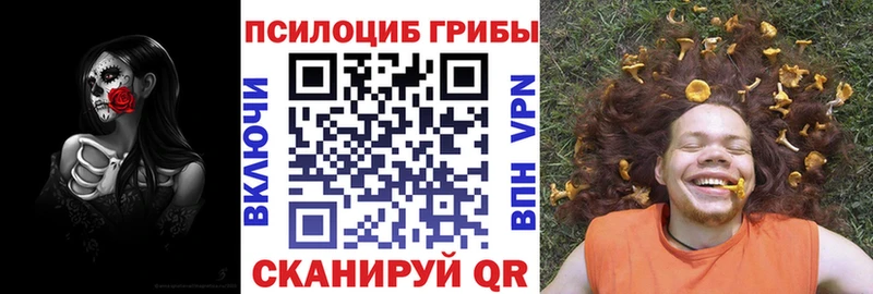 Галлюциногенные грибы прущие грибы  KRAKEN рабочий сайт  Торжок 